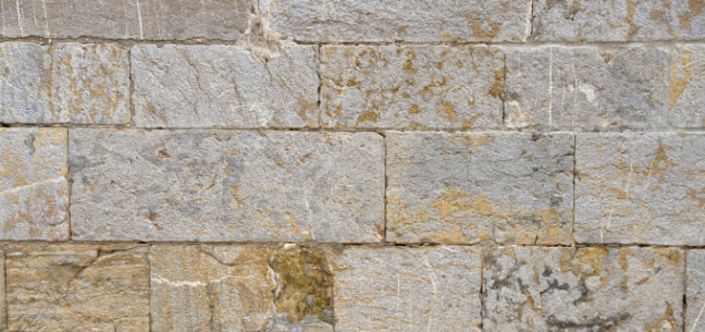 Transmission de savoir-faire